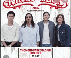 Kings of Leon Standing