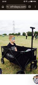 Camping/Festival Wagon