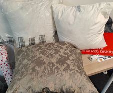 gold cushions X2