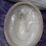 Antique Staffordshire Cow Butter Dish Image 7