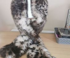 BNWT - Paul Costelloe leopard fur scarf