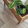 Mid Century Planter Image 4