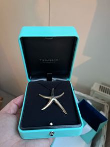 Tiffany and Co Solid Silver Star necklace