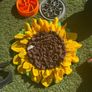Dog Items - all new Image 6