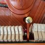 Feurich 122 Piano Image 6