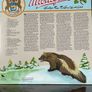 Sufjan Stevens Presents... Greetings from Michigan, the Great Lake State Image 10