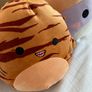 Squishmallows x6 Image 6
