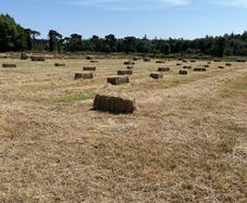 small bales of hay
