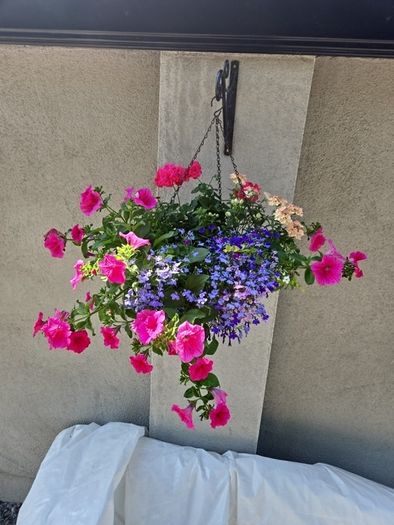 Hanging basket