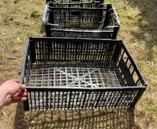 Crates
