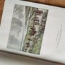 Twelve Irish Artists produced by The Victor Waddington Galleries 1940 Image 4