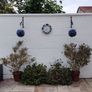 Plants Image 2