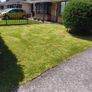 grass cutting etc Image 2