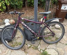 adult bike