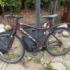 adult bike