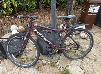 adult bike