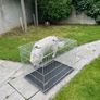 Large dog crate Image 3