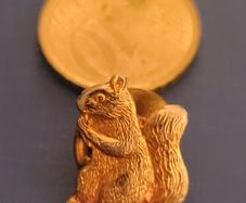 lapel badge