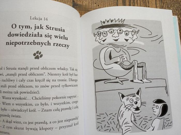 Polish Children's Book, Age 6+