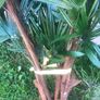 Artificial Flower Image 3