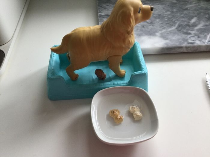 Barbie dog bundle