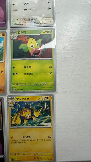 Pokemon Cards Sir, Japanese, Ir