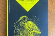 Dorothy Macardle - The Unforeseen