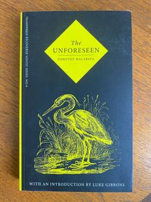 Dorothy Macardle - The Unforeseen