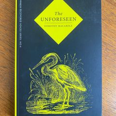 Dorothy Macardle - The Unforeseen