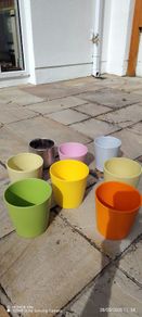 Pots - Indoor