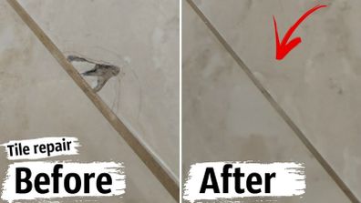 Tile Chip Repair