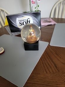 Buddha in globe
