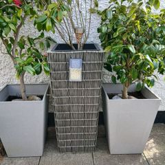 Wicker plant pots