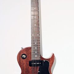 Richwood Les Paul Special style with P90s