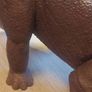 Vintage 1987 Playskool Definitely Dinosaurs Triceratops 12" Image 6