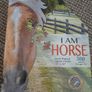 Brand new jigsaw in the shape of a horse's head Image 2