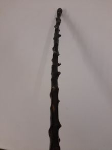 Blackthorn Walking Stick