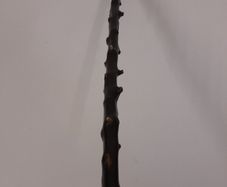 Blackthorn Walking Stick