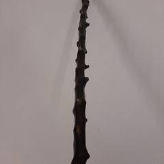 Blackthorn Walking Stick