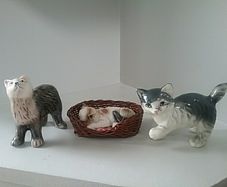 Three Cute Cats