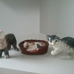 Three Cute Cats