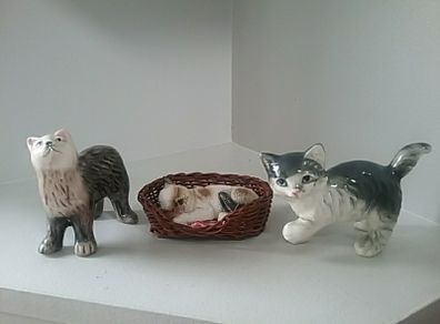 Three Cute Cats