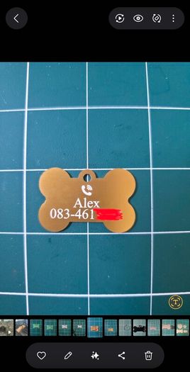 Pet name tags