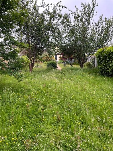 Grass Cutting & Garden Maintenance