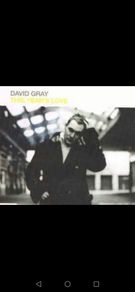 David Gray Fairview Park 17th June