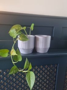 Plant pots