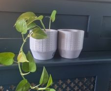 Plant pots