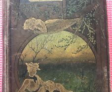 Vintage book 'A World Of Girls ' 1889