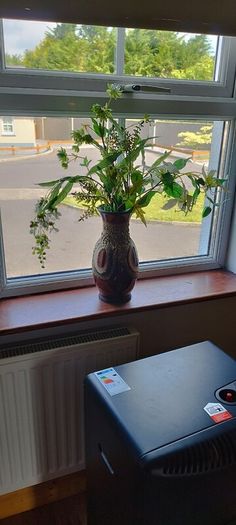 vases