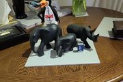 African Animals